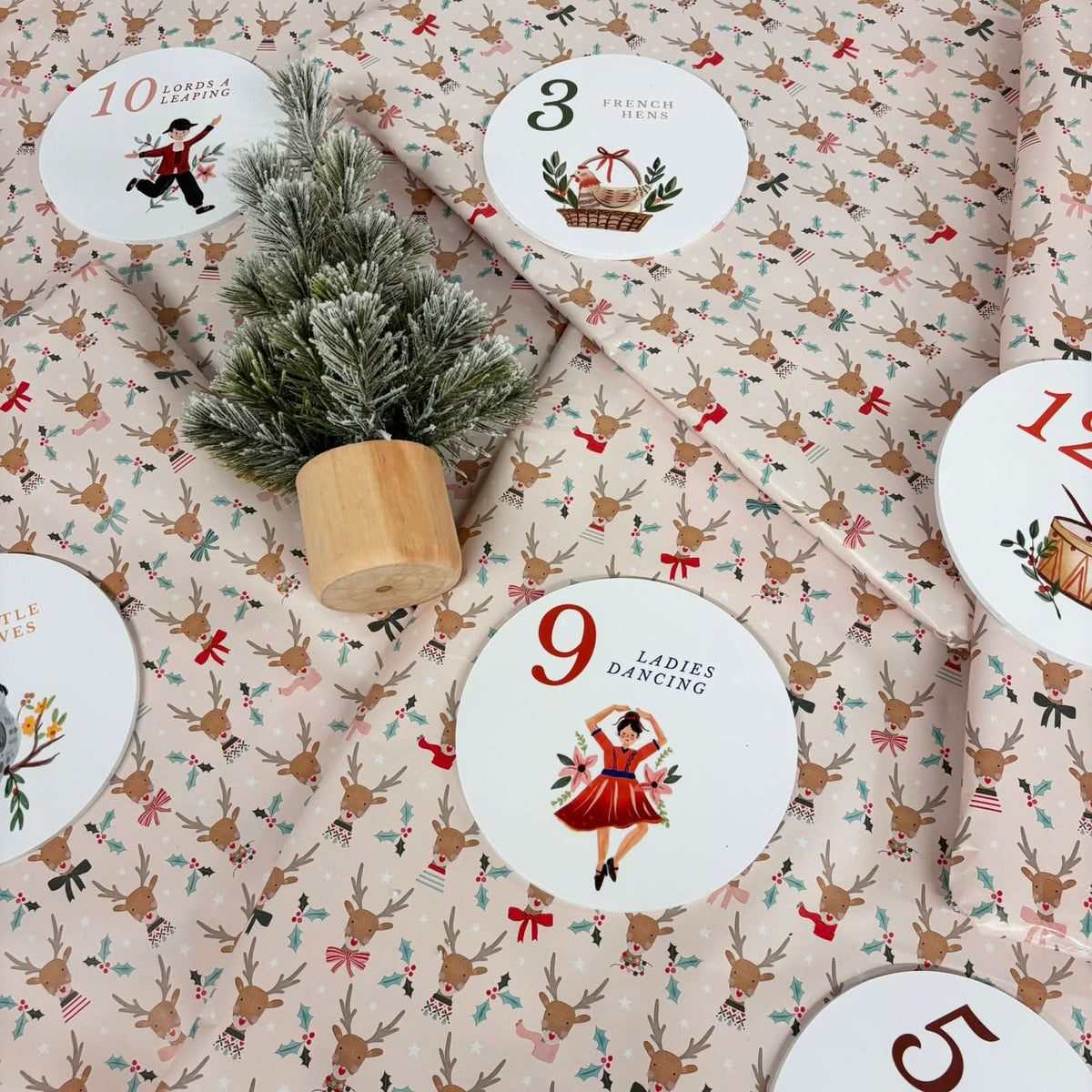 Personalised 12 Days of Christmas Advent Calendar Bright Version - Lifestyle Photo | Zebra Print