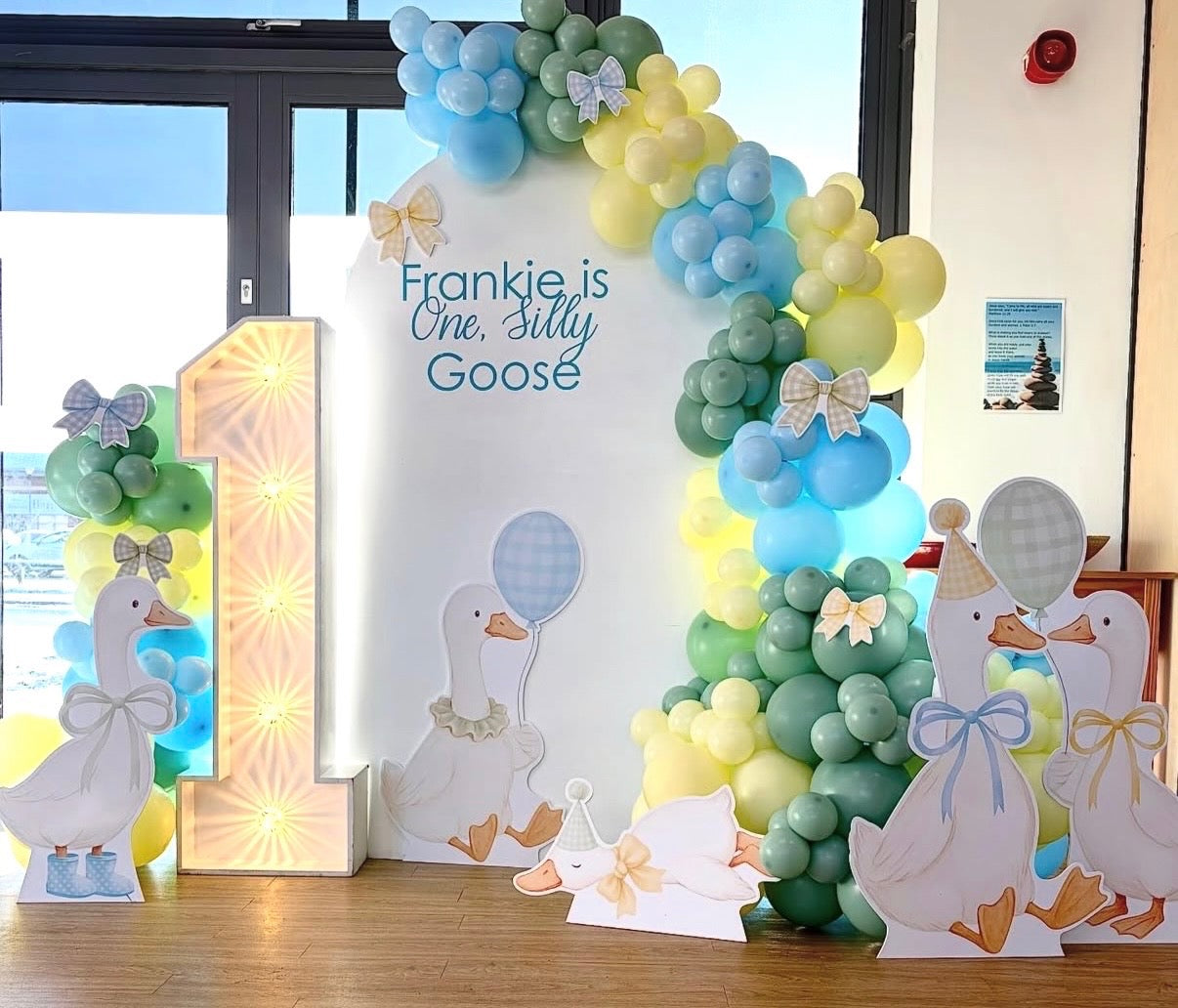 MINI Goofy Goose Bundle