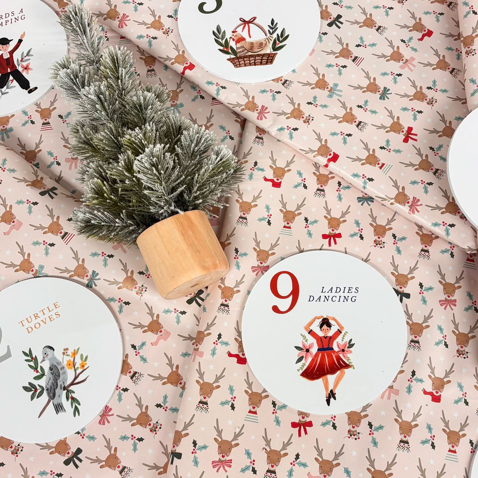 12 Days of Christmas Advent Calendar Bright Version